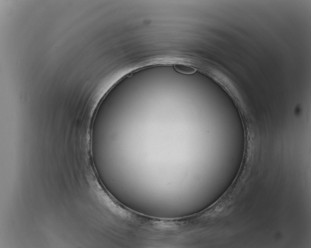 X0000116890852200912291301