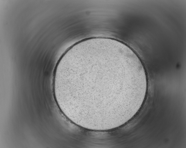 X0000116890856200912291302