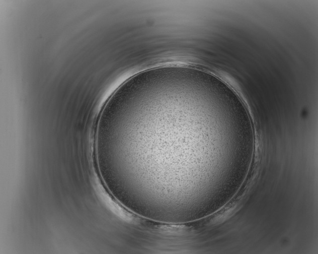 X0000116890859200912291302