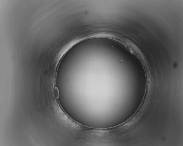 X0000116890860200912291302