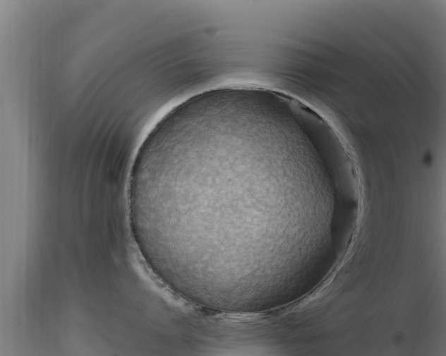 X0000116890864200912291302