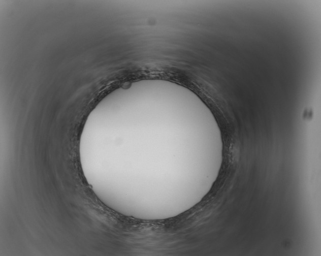 X0000116890865200912291301