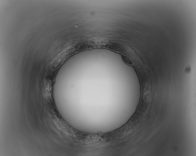 X0000116890866200912291301