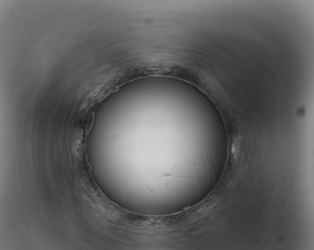 X0000116890867200912291301