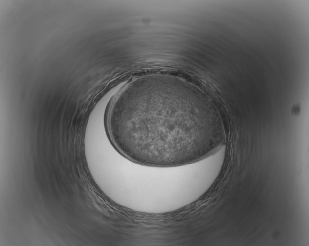 X0000116890868200912291301
