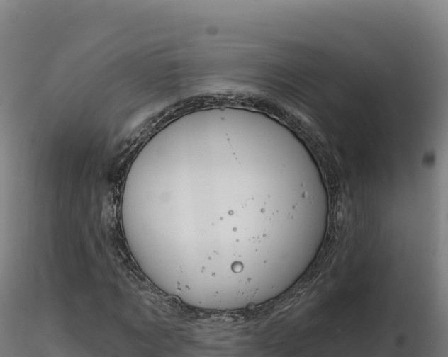 X0000116890869200912291301