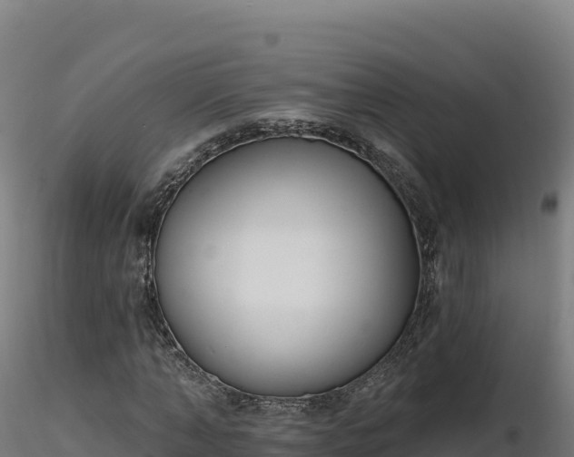 X0000116890870200912291301