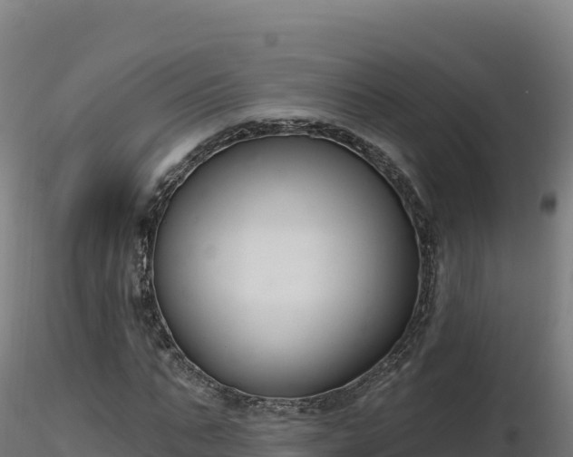 X0000116890871200912291301