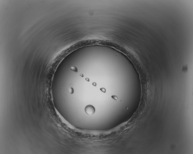 X0000116890872200912291301