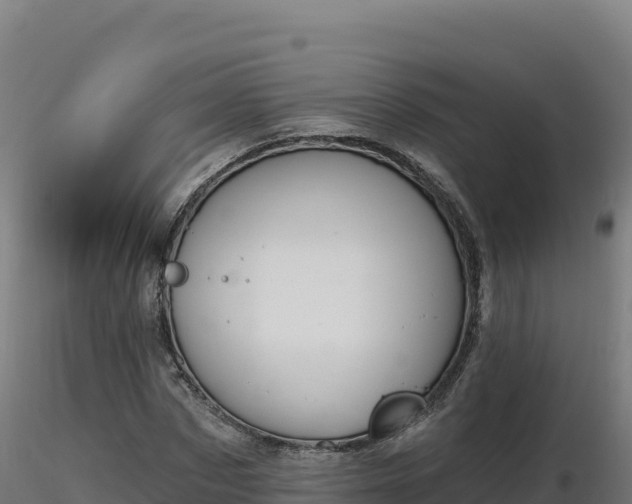 X0000116890873200912291301