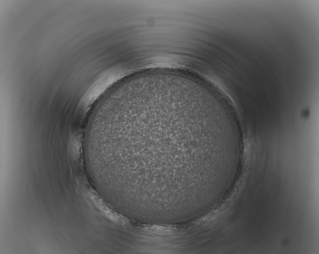 X0000116890874200912291301