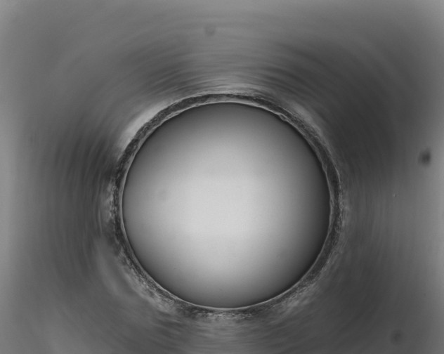 X0000116890875200912291301