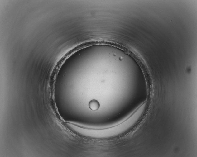 X0000116890876200912291301