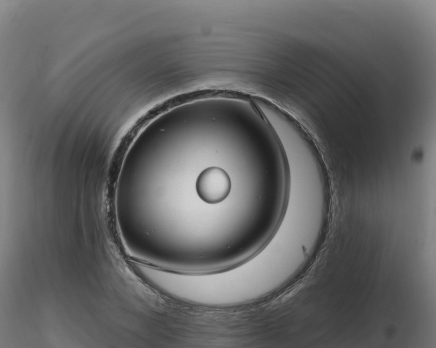 X0000116890880200912291301