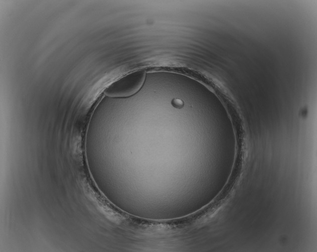 X0000116890881200912291301