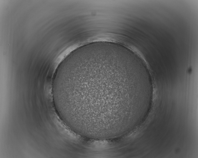 X0000116890882200912291301