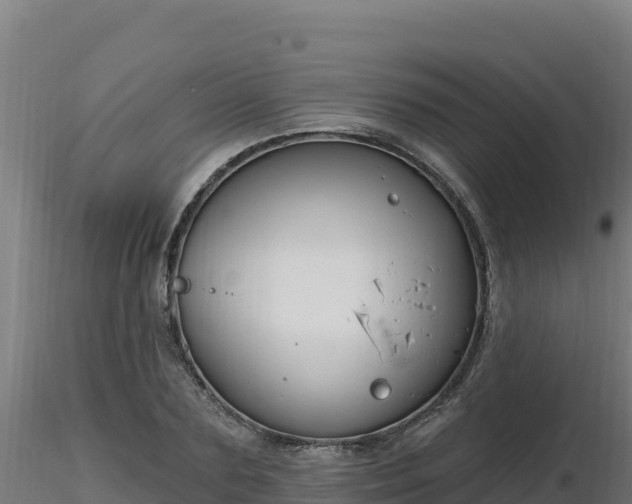 X0000116890883200912291301
