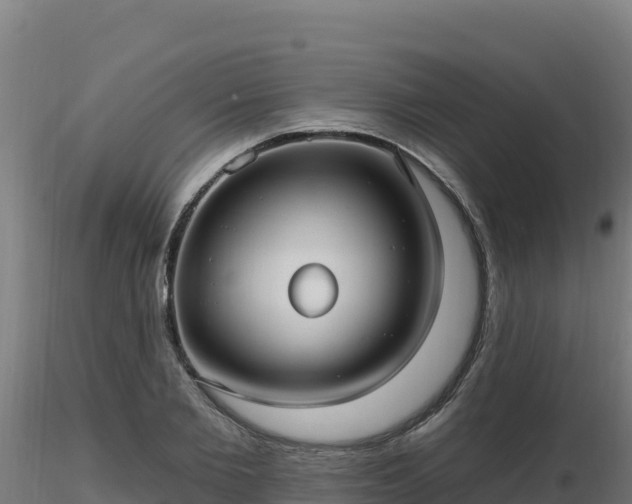 X0000116890885200912291301