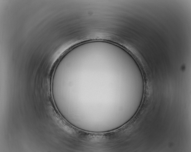 X0000116890886200912291301
