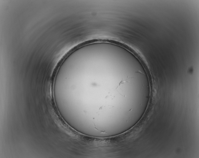 X0000116890887200912291301