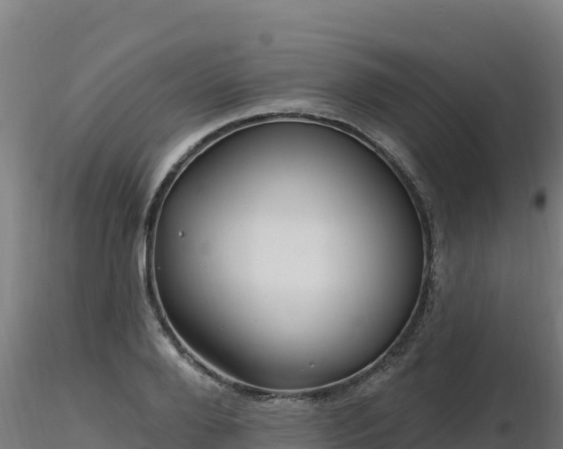 X0000116890888200912291301
