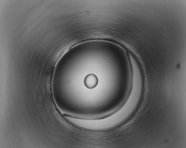 X0000116890889200912291301