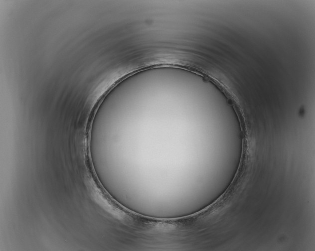 X0000116890890200912291301