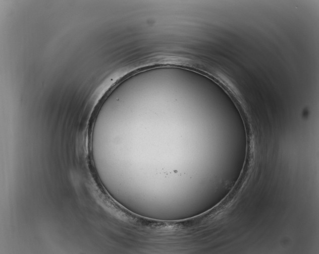 X0000116890891200912291301
