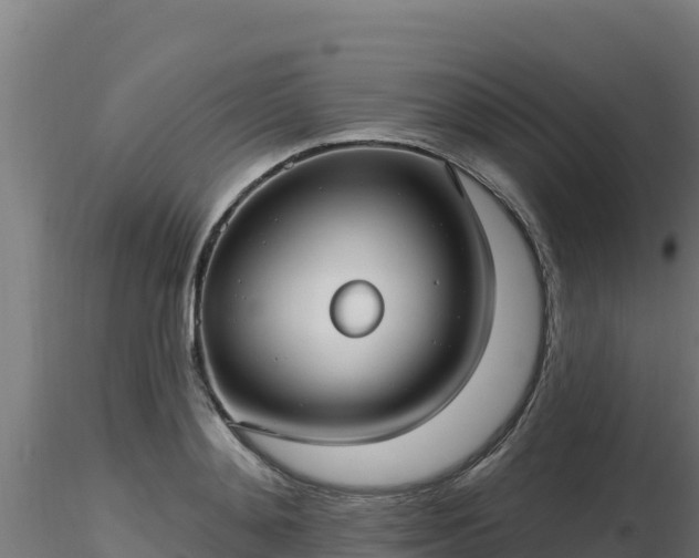 X0000116890892200912291301