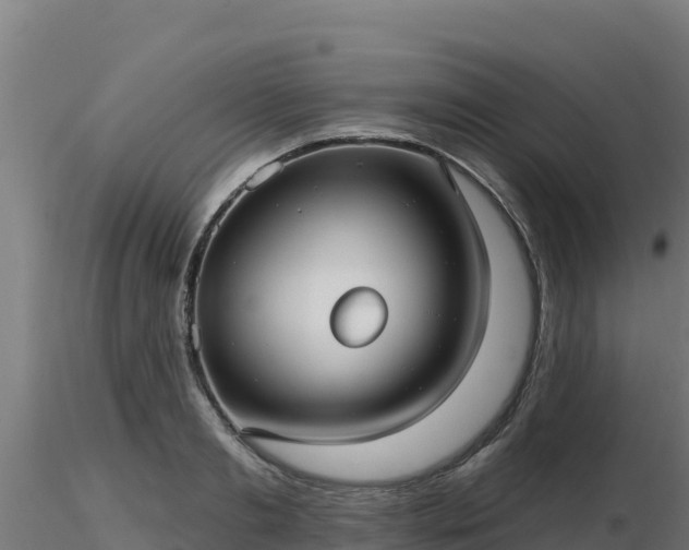 X0000116890893200912291301