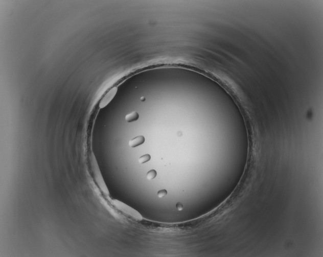 X0000116890894200912291301