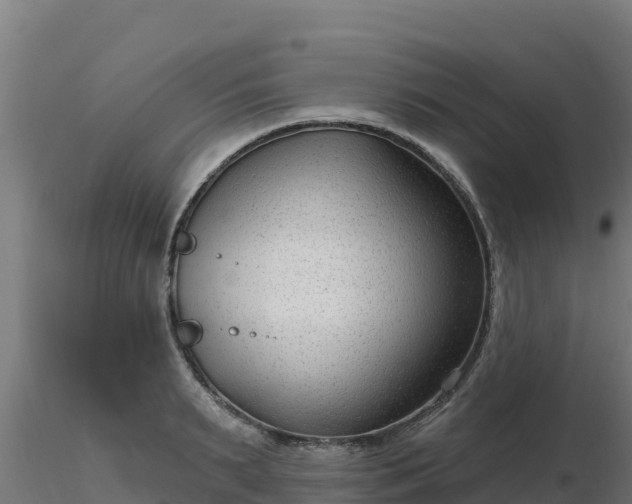 X0000116890895200912291301