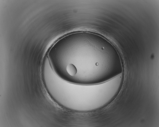 X0000116890896200912291301