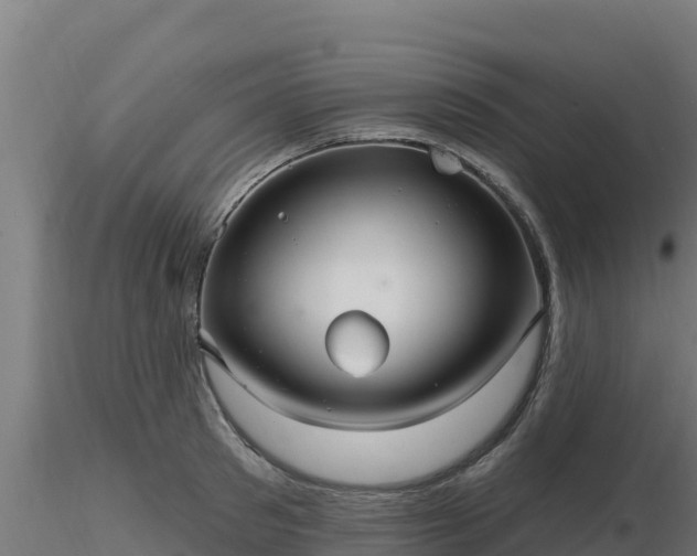X0000116890897200912291301