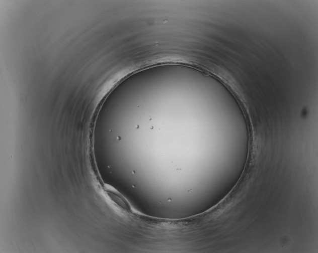 X0000116890898200912291301