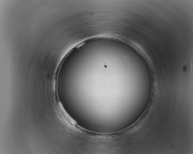 X0000116890900200912291301