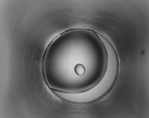 X0000116890901200912291301