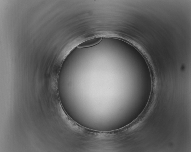 X0000116890905200912291300