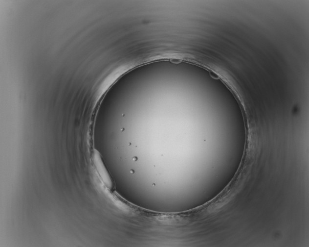 X0000116890906200912291300