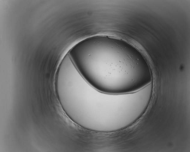 X0000116890908200912291300