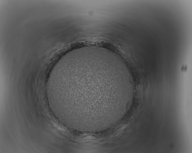 X0000116890913200912291300