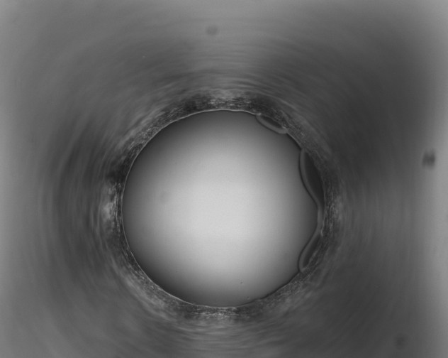 X0000116890914200912291300