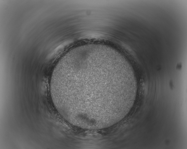 X0000116890918200912291300