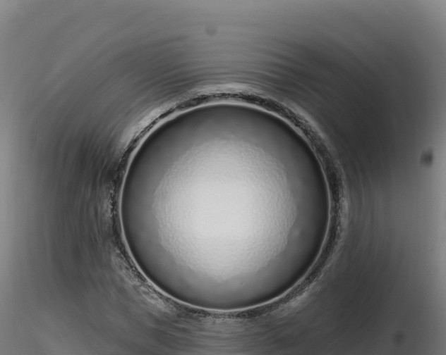 X0000116890921200912291300