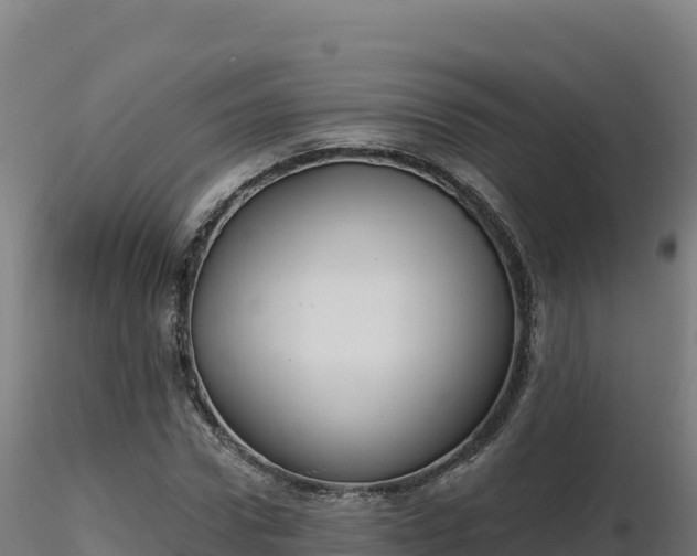 X0000116890922200912291300