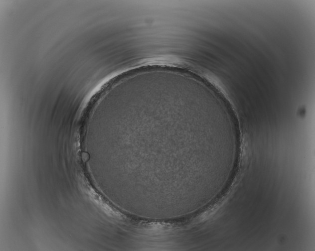 X0000116890923200912291300