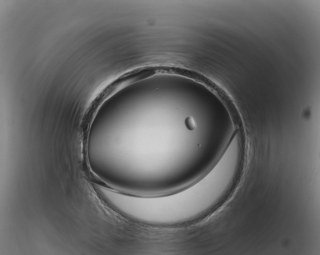 X0000116890925200912291300