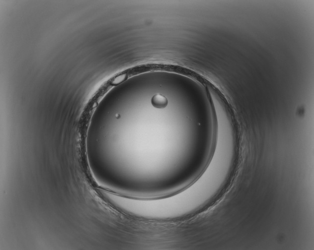 X0000116890926200912291300