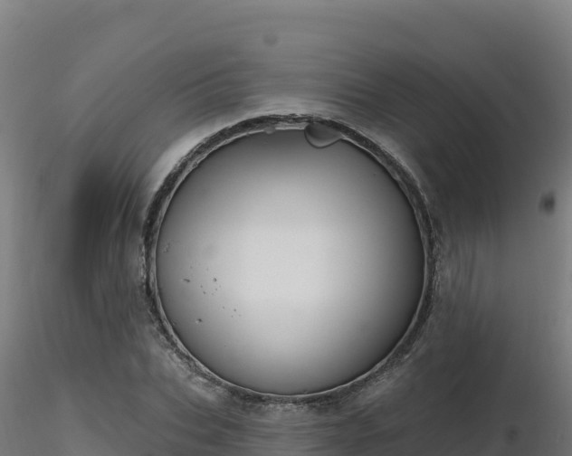 X0000116890927200912291300