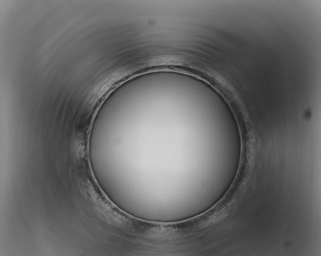 X0000116890929200912291300